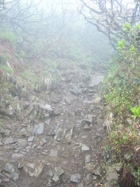 登山道 登山道