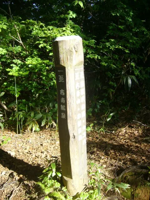 ハナヌキ峰分岐 ハナヌキ峰分岐