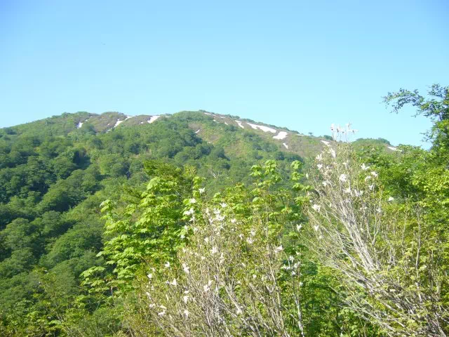 古寺山へ続く稜線 古寺山へ続く稜線