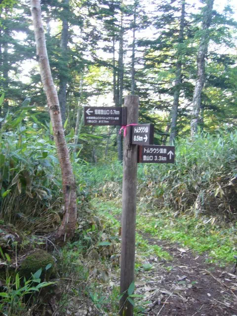 温泉コース分岐 温泉コース分岐