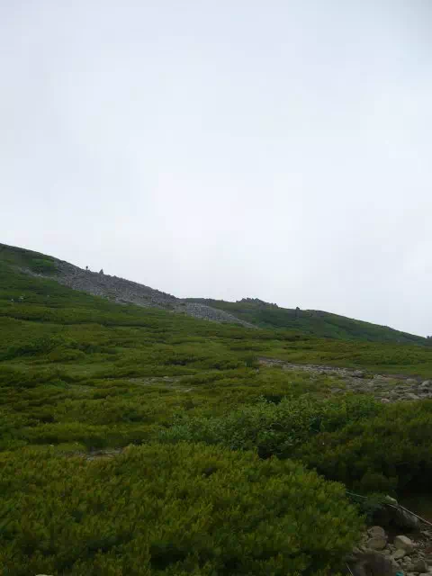 はいまつ はいまつ