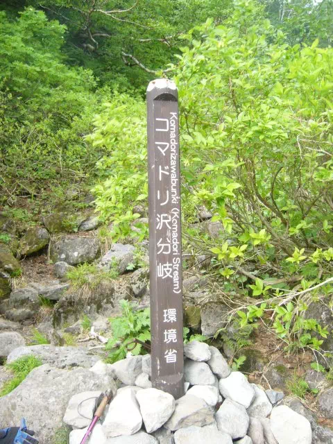 コマドリ沢の分岐 コマドリ沢の分岐