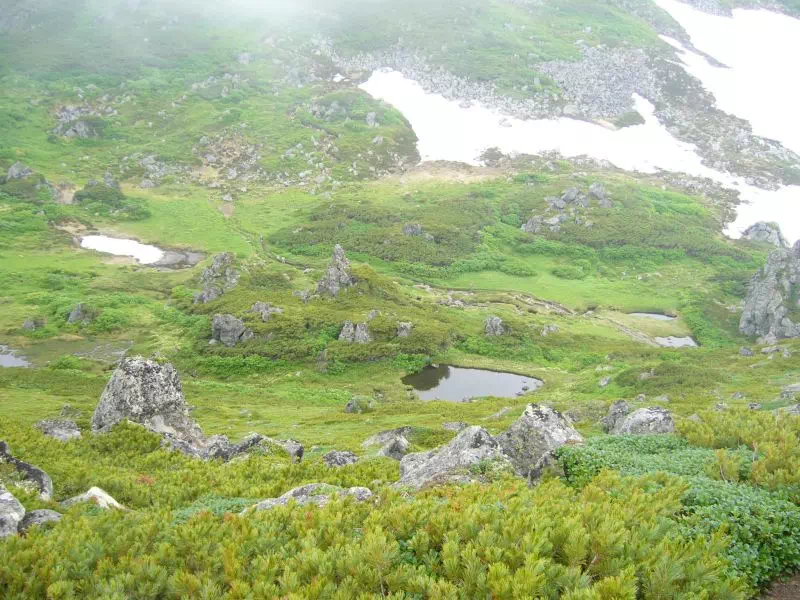 トムラウシ公園 トムラウシ公園