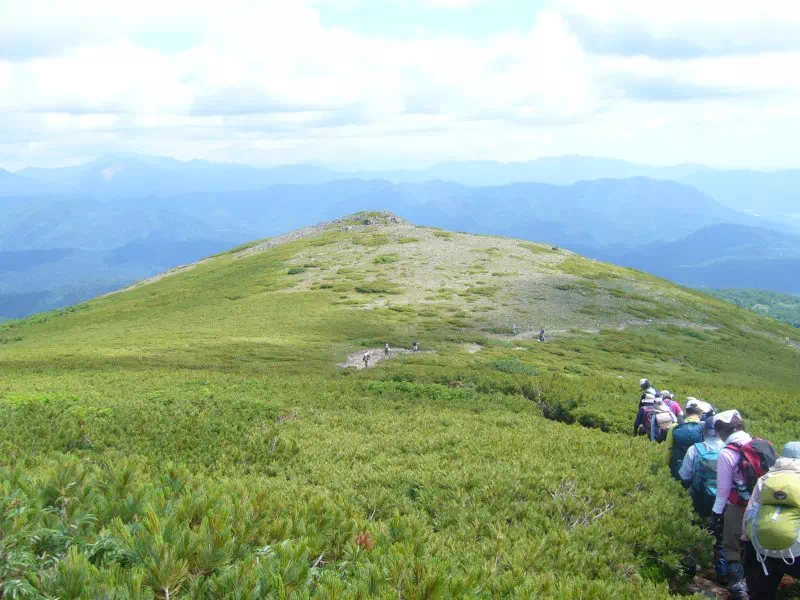 前トム平 前トム平