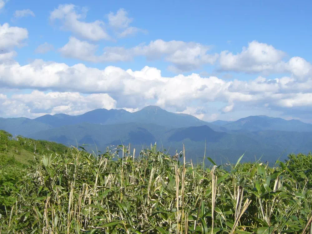 ニペンツ山 ニペンツ山