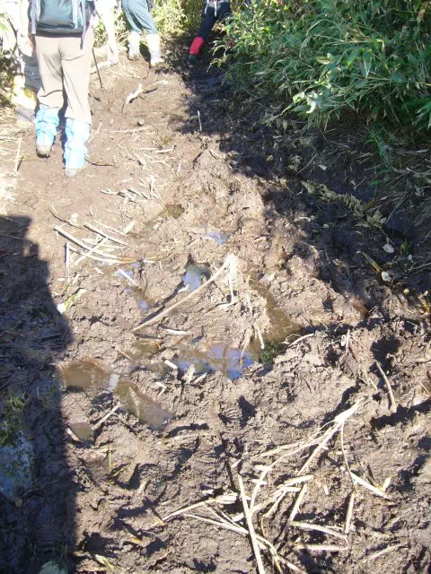 ぬかるみ ぬかるみ