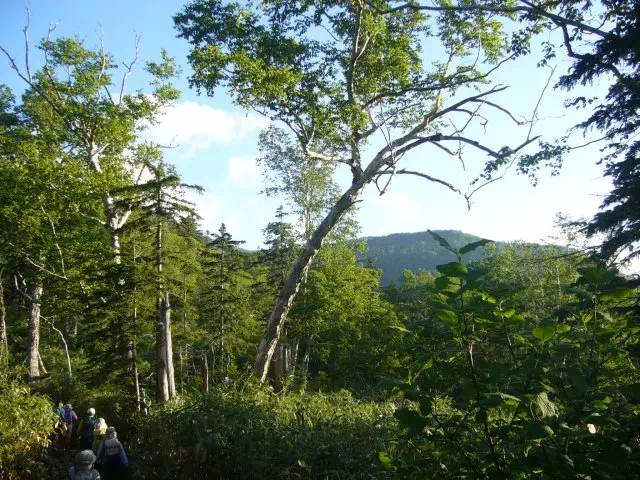 周囲の山 周囲の山