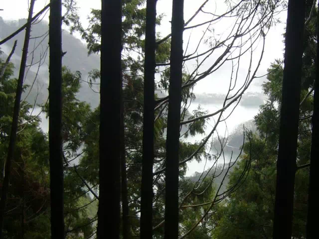 霧の丹沢湖 霧の丹沢湖
