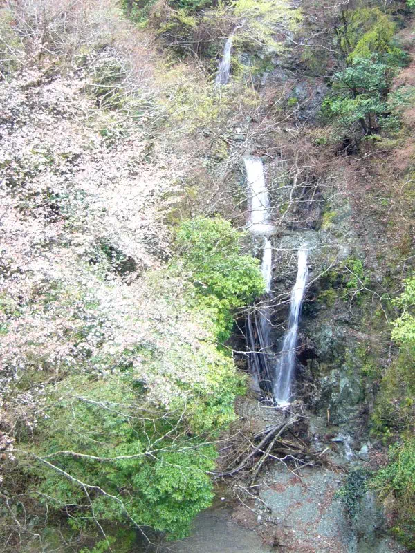 滝壺橋からの滝 滝壺橋からの滝