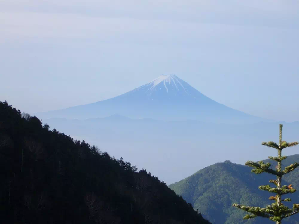 甲武信ケ岳山頂直下からの富士山 甲武信ケ岳山頂直下からの富士山