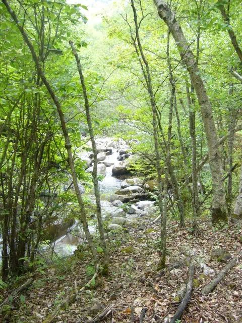 源流遊歩道 源流遊歩道
