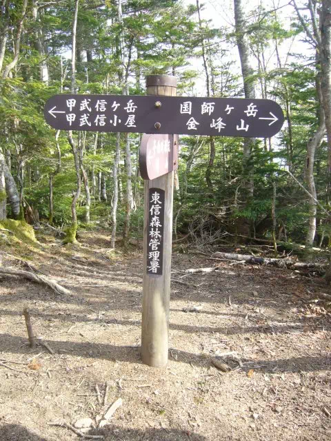 尾根分岐 尾根分岐