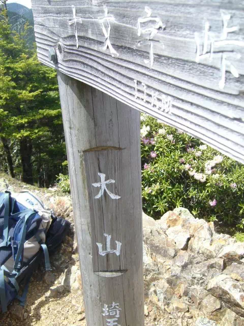 大山 大山