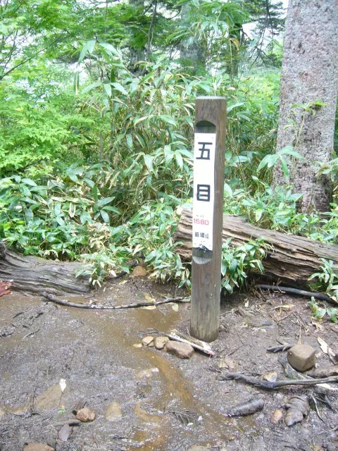 五合目 五合目