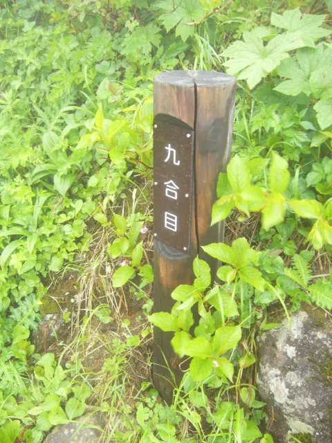 9合目 9合目