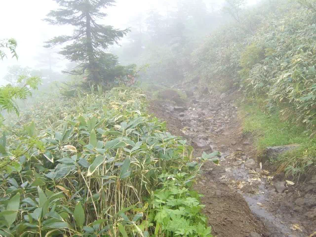 富士見坂 富士見坂