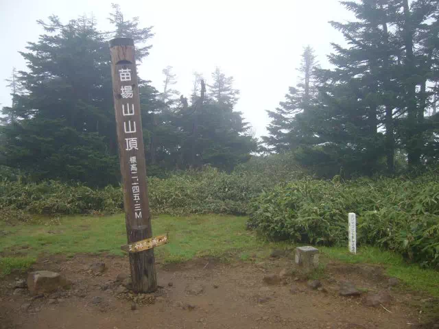 苗場山 苗場山