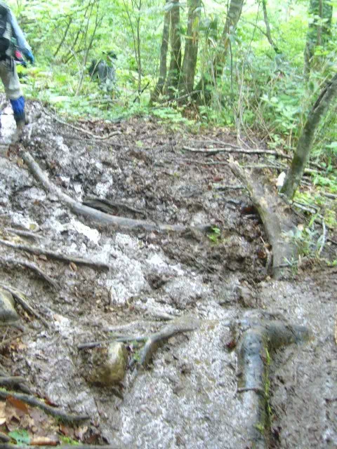 ぬかるみ ぬかるみ