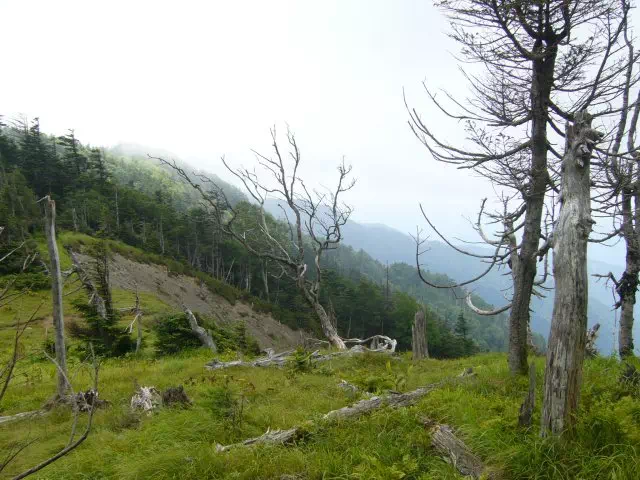 三吉ガレ 三吉ガレ
