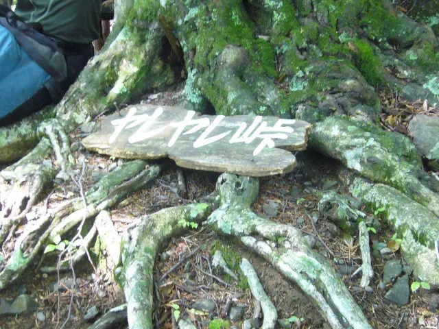 ヤレヤレ峠 ヤレヤレ峠