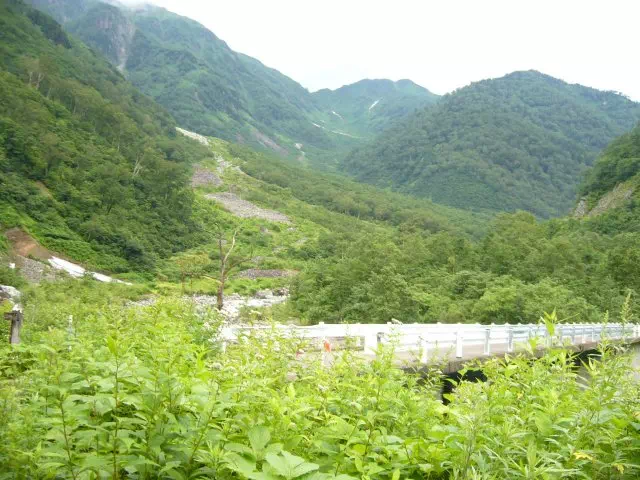 丸山への分岐 丸山への分岐