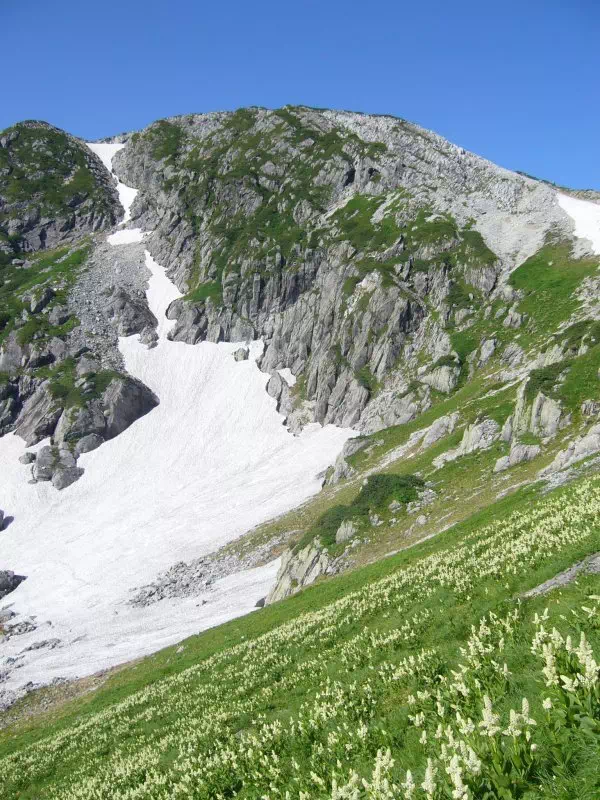 黒部五郎岳 黒部五郎岳