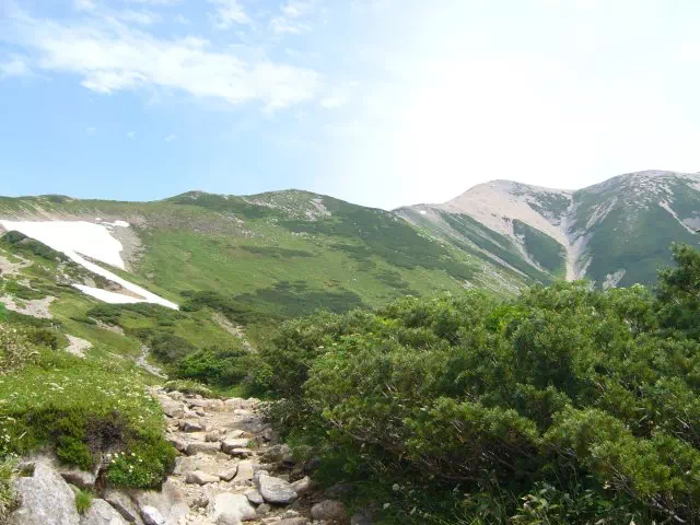 薬師岳を振り返る