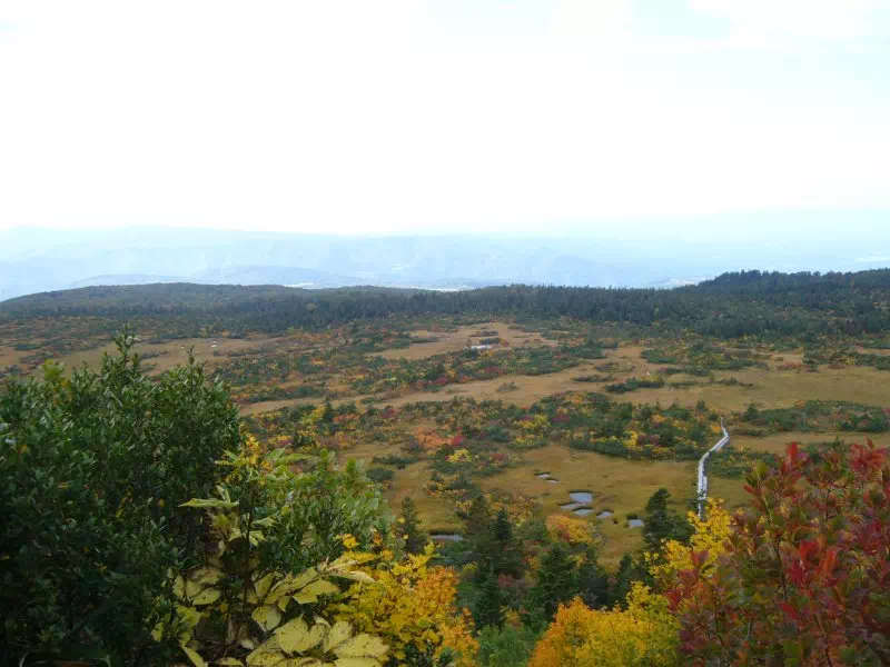 下毛無岱への下り 下毛無岱への下り