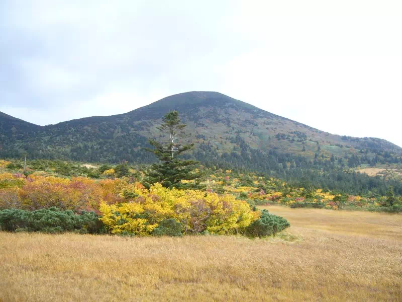 八甲田山(大岳) 八甲田山(大岳)