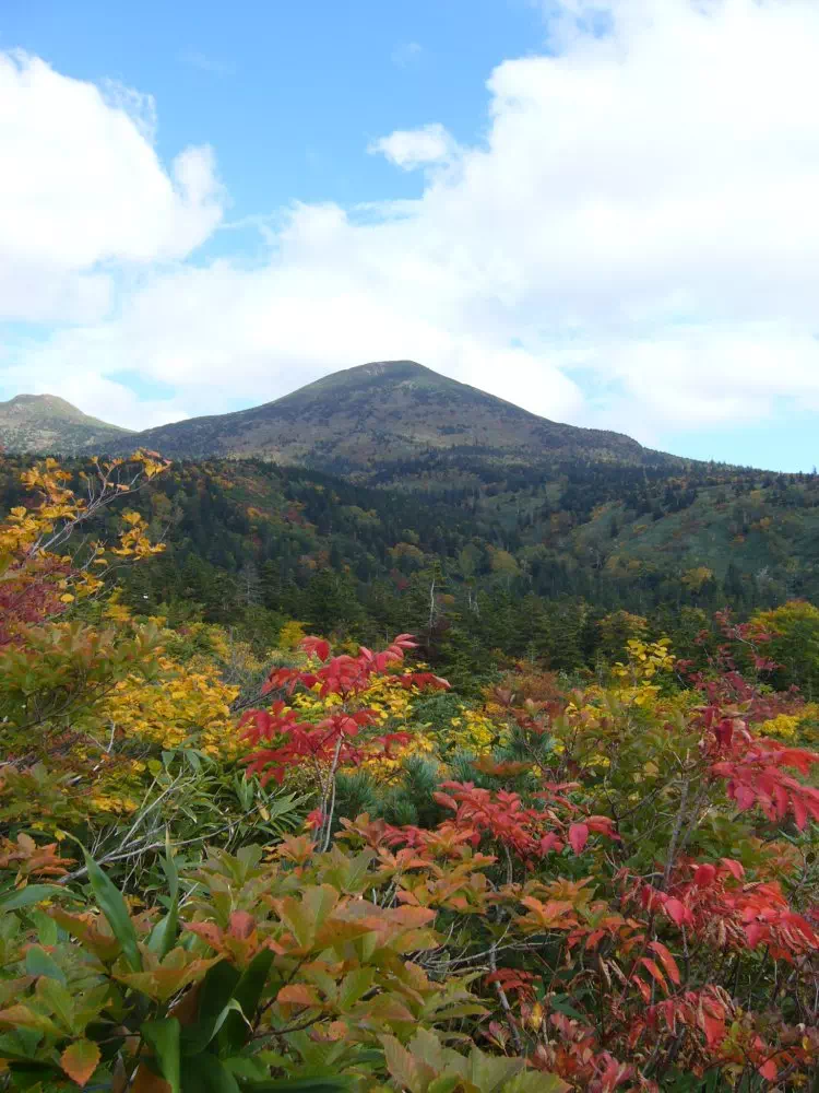 八甲田山(大岳) 八甲田山(大岳)