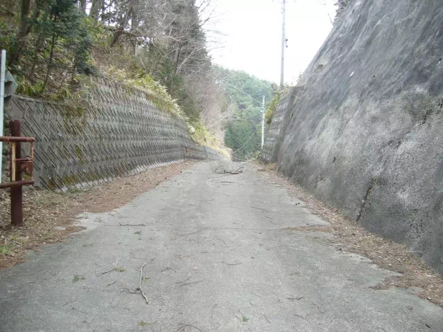 林道 林道