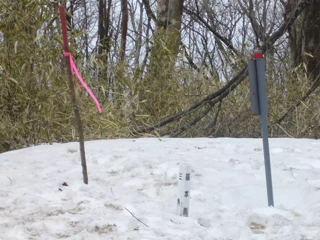 わらびたたき わらびたたき