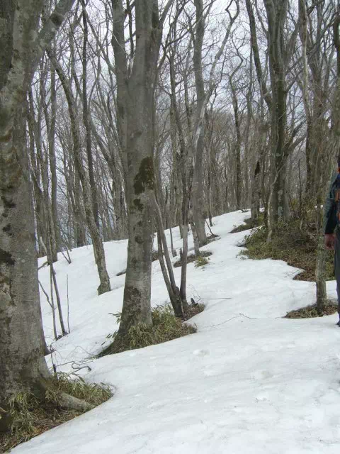 雪尾根 雪尾根