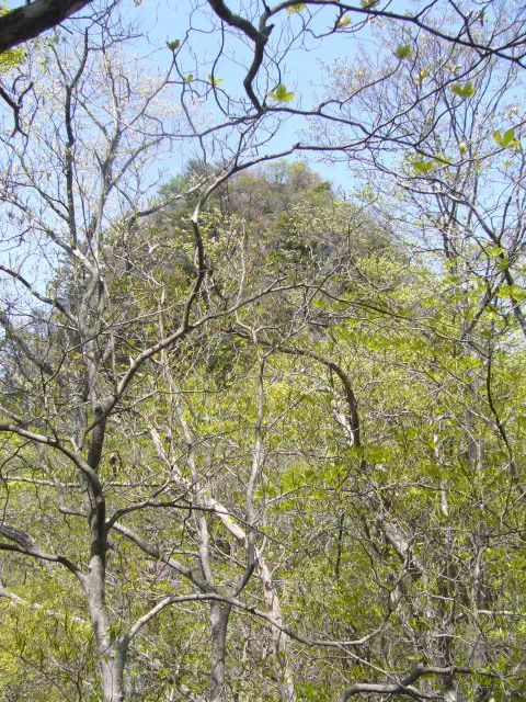 烏帽子岳 烏帽子岳