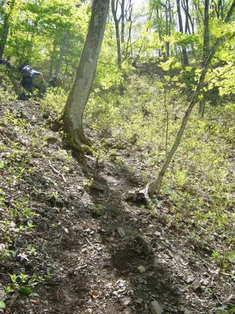 稜線手前 稜線手前