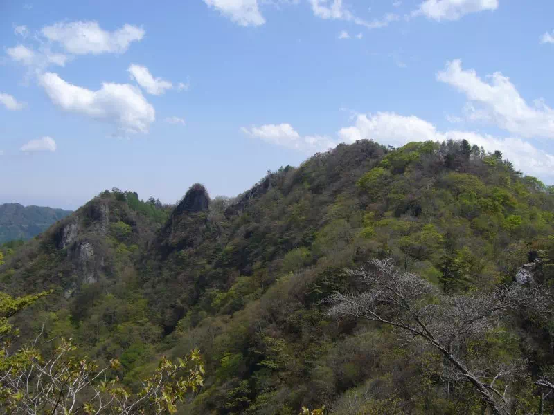 シラケヤマ シラケヤマ