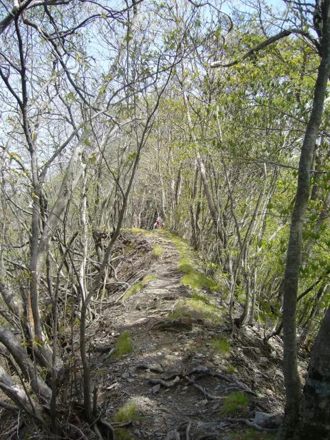 痩せ尾根 痩せ尾根