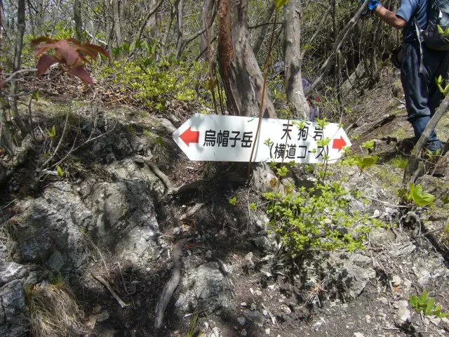 横道分岐 横道分岐