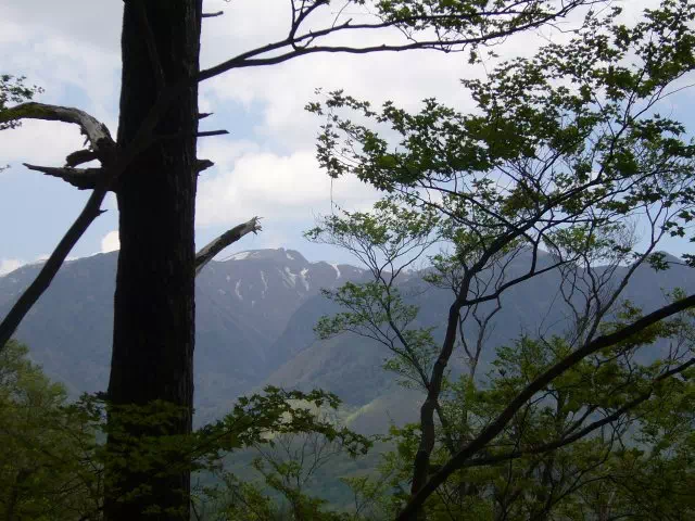 白根山方面