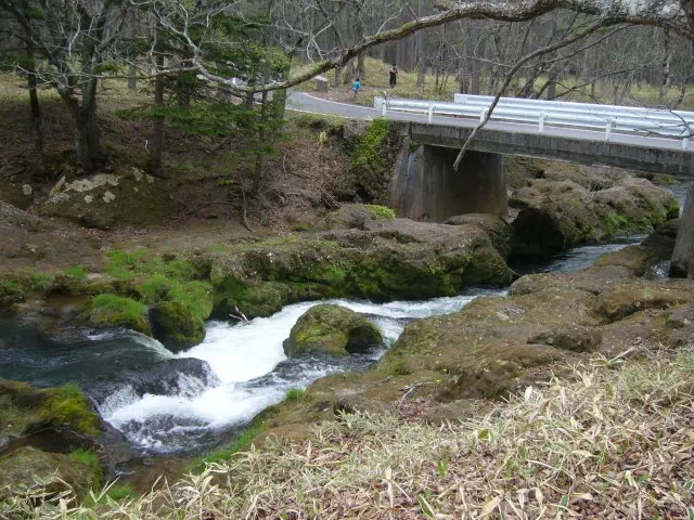 石楠花橋