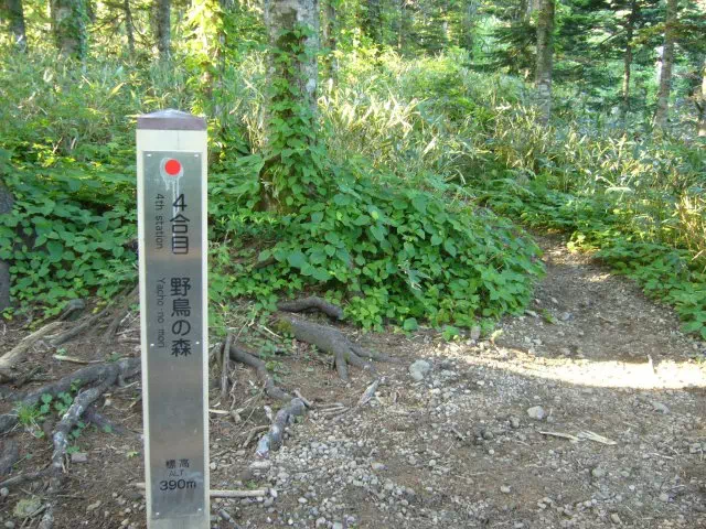 四合目