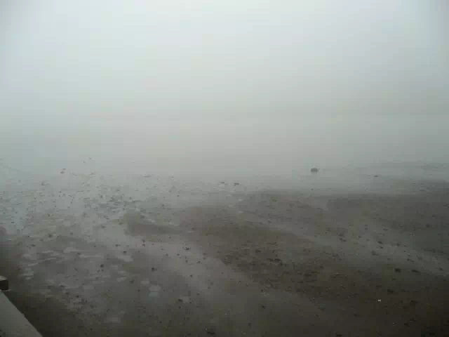 阿弥陀池 阿弥陀池