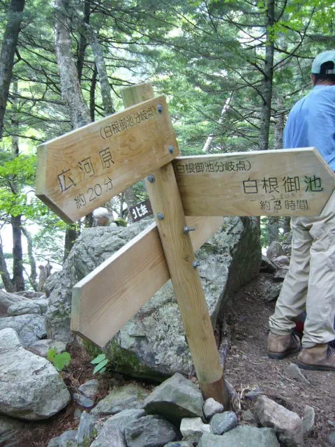 二俣分岐 二俣分岐