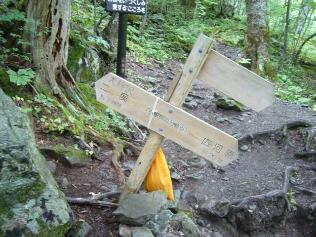 二俣分岐 二俣分岐