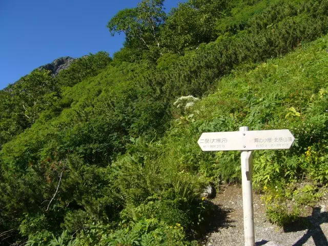 小太郎山分岐 小太郎山分岐