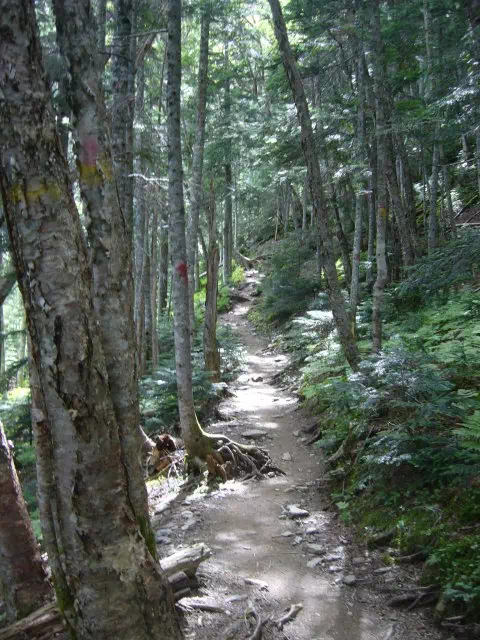 緩い登り 緩い登り