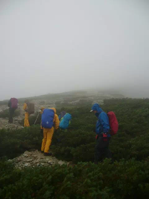 ハイマツ帯の登り ハイマツ帯の登り