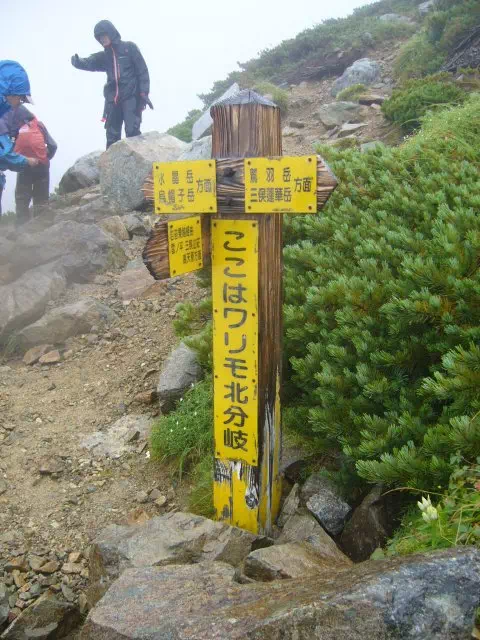 ワリモ北分岐 ワリモ北分岐