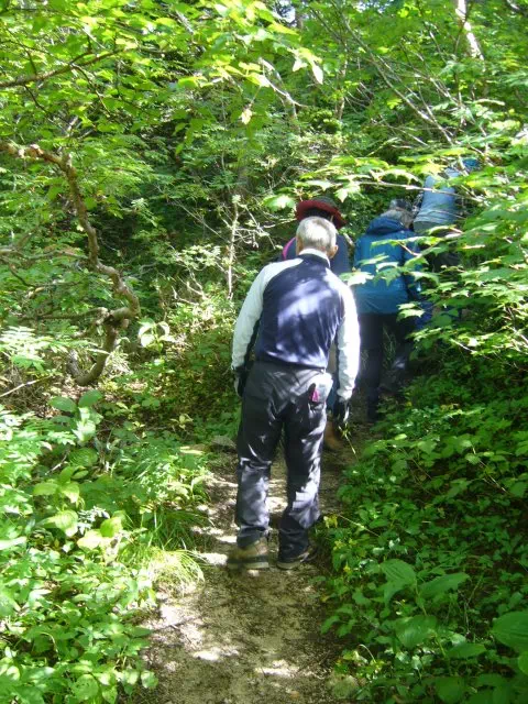 烏帽子へ 烏帽子へ