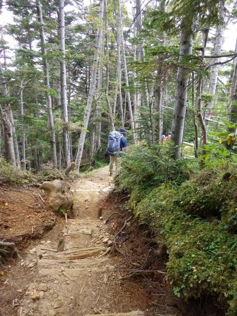 箕冠山下り 箕冠山下り